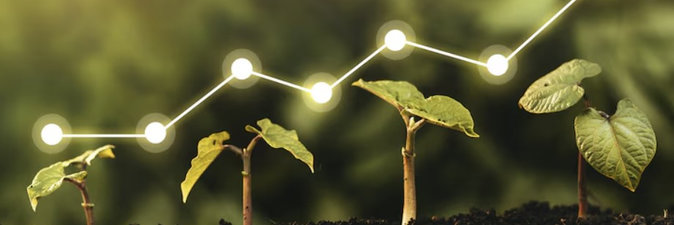 Мировое потребление удобрений к 2030 году вырастет на 23 млн тонн