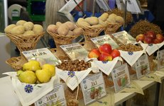 Отечественные удобрения и стимуляторы роста растений