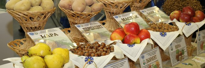 Отечественные удобрения и стимуляторы роста растений