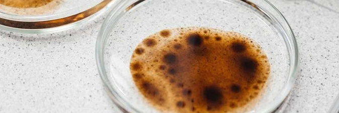 Российские ученые придумали способ отделения нефти от воды для повторного использования