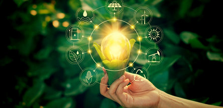 Энергетика Индии зеленеет