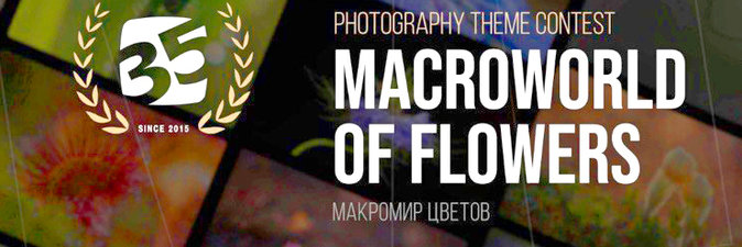 Работы представителя ГИАПа оценили на фотоконкурсе «35AWORDS: Макромир цветов»