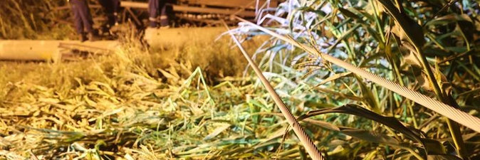 Ход восстановительных работ по ликвидации последствий стихии в регионах страны — на личном контроле Президента Беларуси 