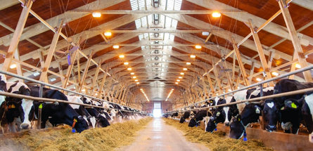 Ход строительства МТФ в «ПС-Карпеки» под контролем