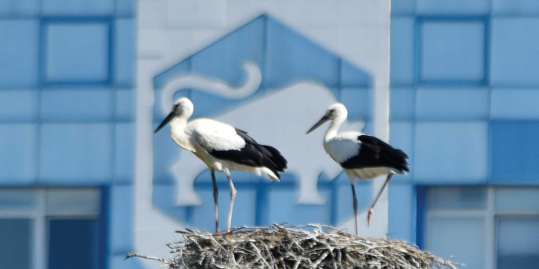 НАДЕЖНОСТЬ. ДОСТУПНОСТЬ. КАЧЕСТВО