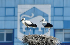 НАДЕЖНОСТЬ. ДОСТУПНОСТЬ. КАЧЕСТВО