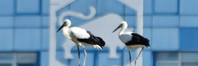 НАДЕЖНОСТЬ. ДОСТУПНОСТЬ. КАЧЕСТВО