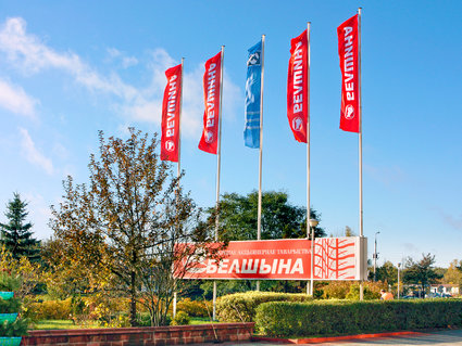 РАСКРУТИТЬ ВЗАИМОДЕЙСТВИЕ: результаты НТС по развитию шинной промышленности РБ