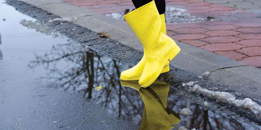 КРИЧЕВСКИЕ ВЕЛЛИНГТОНЫ