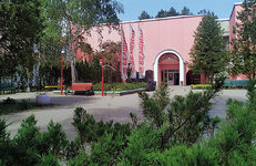 ЛЕСНЫЕ ДАРЫ ДЛЯ КАЖДОЙ ПОРЫ