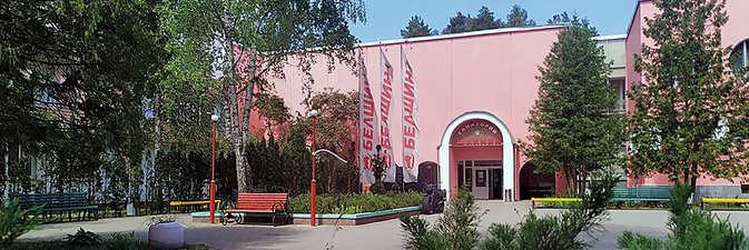 ЛЕСНЫЕ ДАРЫ ДЛЯ КАЖДОЙ ПОРЫ