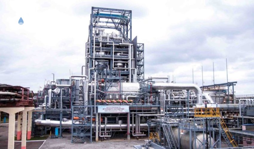 + 30 МЛН ДОЛЛАРОВ ЭКСПОРТА