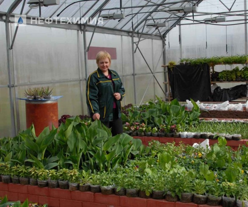 АЛЕКСАНДР БЕЛОХВОСТОВ: «ПРИШЛОСЬ ЛОМАТЬ СТЕРЕОТИПЫ»