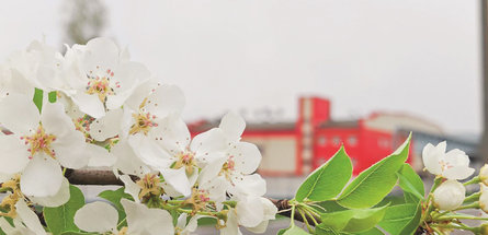 Система ценностей ОАО «СветлогорскХимволокно»