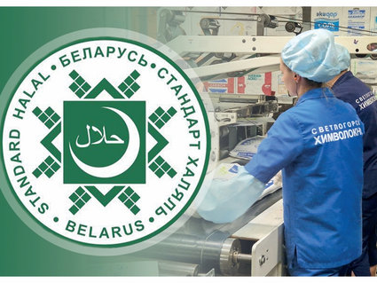 Какую халяльную продукцию и зачем выпускает «СветлогорскХимволокно»?