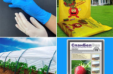 Концерн «Белнефтехим» приглашает представителей частного бизнеса посетить ОАО «СветлогорскХимволокно»