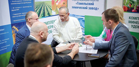 Выйти из зоны комфорта и вновь обрести себя. О новых подходах в выставочной деятельности