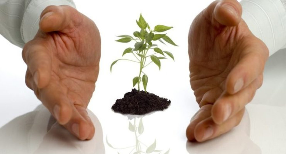 ПРОЦЕСС ПОШЁЛ: прогрессивность декрета №7 «О развитии предпринимательства»